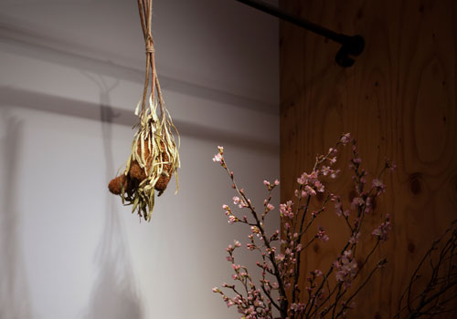 吊り植物